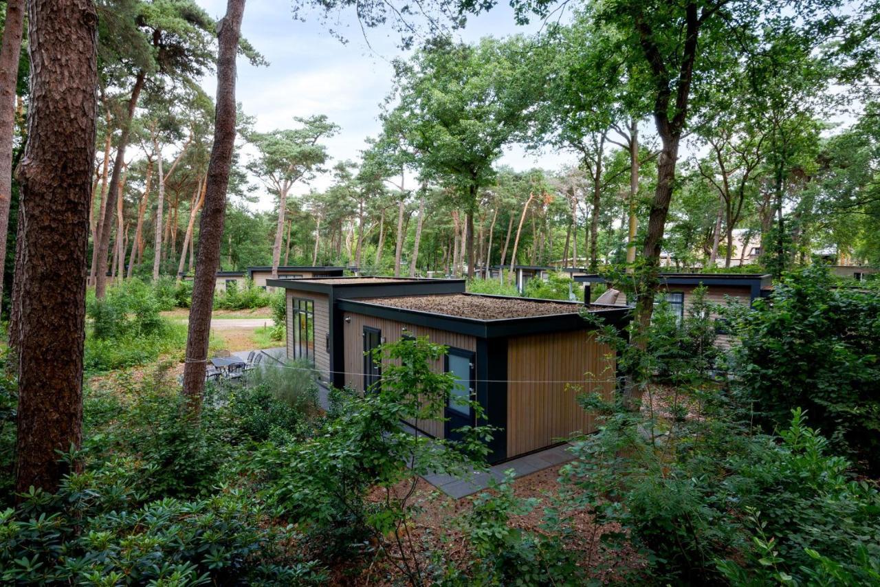 Forestlodge In Het Vechtdal - 5 Persoons ハルデンベルグ エクステリア 写真